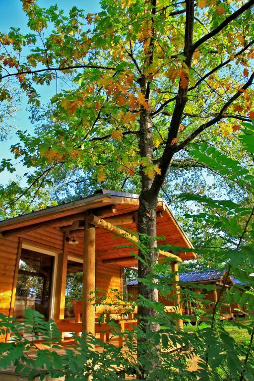 Albirondack Camping Lodge & Spa Camera foto